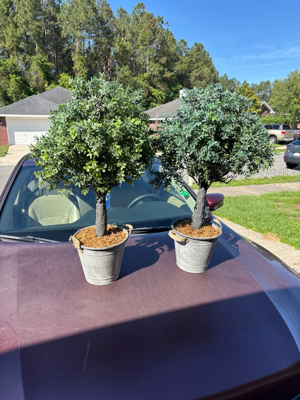 Set of 2 Decorative Topiary Trees in Metal Pots - Green